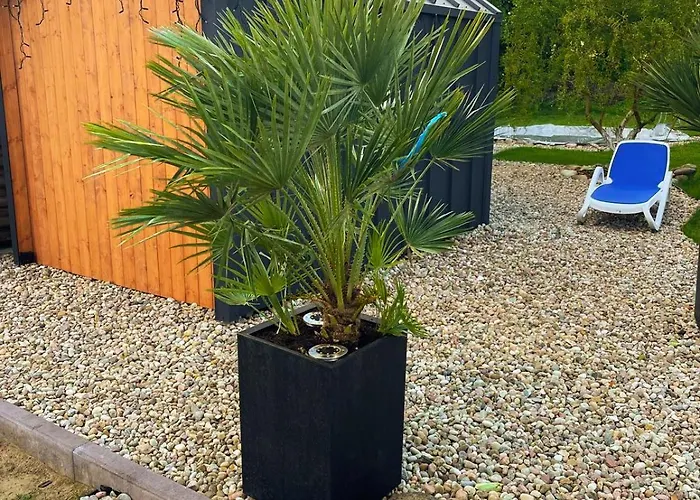 - Basen, Sauna, Balia, Jacuzzi, Dom Caloroczny W Szymbarku *